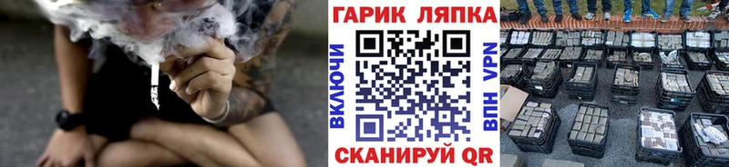 купить  цена  Почеп  Гашиш Cannabis 