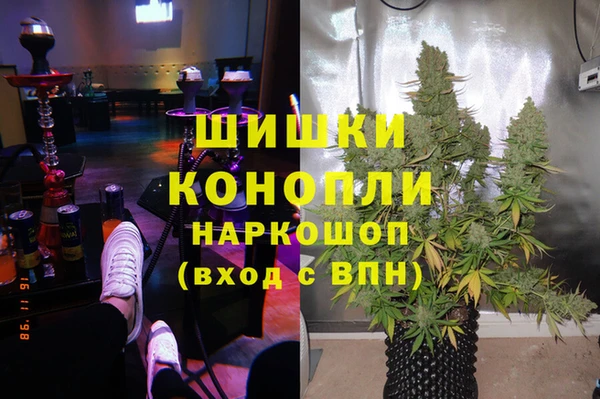 шишки Валуйки