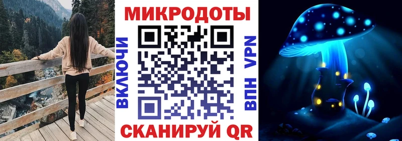 Галлюциногенные грибы Psilocybine cubensis  где можно купить   mega зеркало  Почеп 